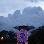 Gardens by the Bay II