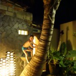 El mono a por los cocos...