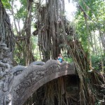 Wie aus einem Fantasyfilm