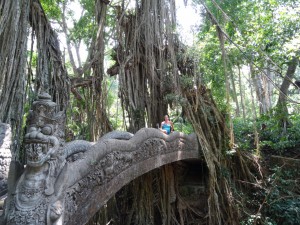 Wie aus einem Fantasyfilm