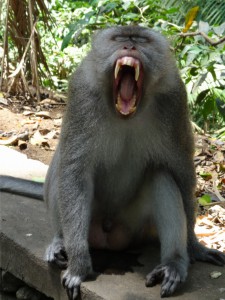 ...und dann auch noch pampig werden