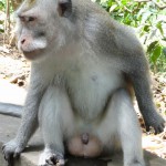 Na super, erst einpinkeln,