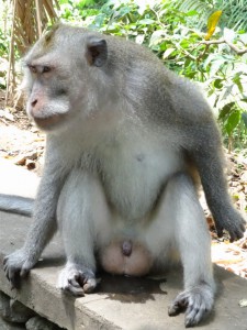 Na super, erst einpinkeln,