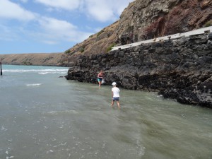 Muscheln sammeln fürs Mittagessen