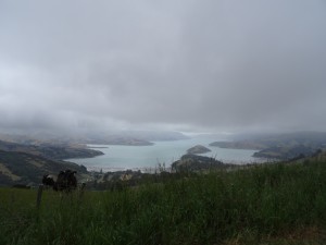 Banks Peninsula