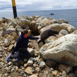 Da schlief sie noch ganz friedlich