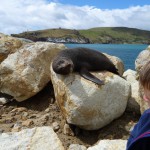 Aber selbst nach dem ungewollten Wecken blieb sie gelassen und neugierig