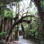 Weiter geht's Richtung Meer...