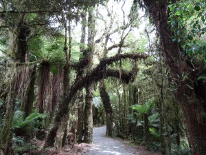 Weiter geht's Richtung Meer...