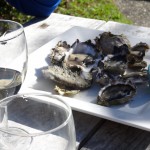 Standesgemäß und frisch gesammelt - Am Ankunftsnachmittag gleich erstmal Austern satt am Strand gesammelt und direkt verspeist