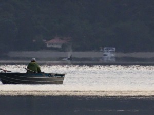 Marten and the orcas