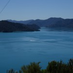 Blick auf den Kenepuru Sound von ganz hoch oben nach einem steilen Aufstieg