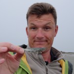 Fish of the day-nix für den großen Hunger