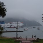 Picton Harbour