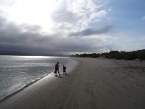 Muscheln sammeln fuer das Abendbrot