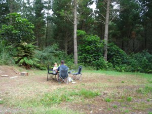 Vom mediterranen Strandleben mitten in den Wald