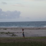 Und immer in Bewegung - Hier auf der Jagd nach dem Ei