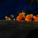 ...und ein letzter Absacker...