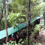 Die Coromandel-Schmalspurbahn, zum Tonabtransport fuer den Toepfer auch heute noch im Einsatz