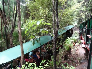 Die Coromandel-Schmalspurbahn, zum Tonabtransport fuer den Toepfer auch heute noch im Einsatz