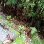 Weiche stellen nicht vergessen