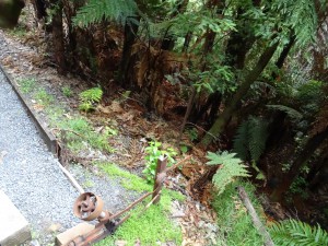 Weiche stellen nicht vergessen