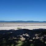 Nach der Arbeit am Blog in der Buecherei, chillen am Mittag...