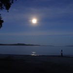 ...und am Abend bei Mondenschein