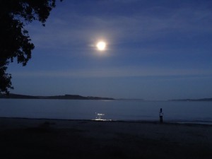 ...und am Abend bei Mondenschein