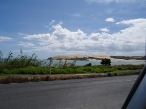 Blick auf die Bucht von Hokianga Harbour