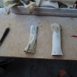 Noch sind es nur schnoede Rinderknochen