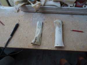 noch sind es nur schnoede nicht besonders attraktive Rinderknochen