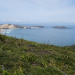 Cape Maria van Diemen