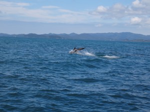 ...und begleiten uns lange Zeit