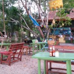 Ein letztes Mal bei June. Das Äffchen probiert den Hulahoop aus