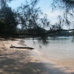 der Buffalo Bay bei wunderbar klarem Wasser