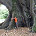 Der tree hugger ist erneut im Einsatz