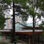 Die Nationalgalerie V