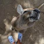 ... und große - süß...