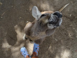 ... und große - süß...