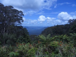 Die Blue Mountains!