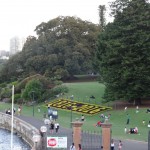 Der Botanische Garten feiert