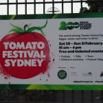 und das gibt es auch noch dazu