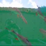 ...Wasser mit riesigen Fischen