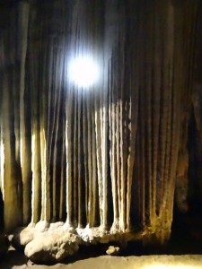 ...erwarten uns. Hier das Buch...