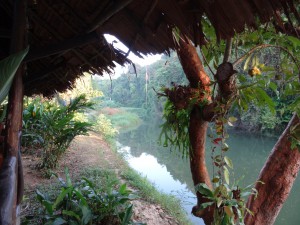 Hier, direkt am Fluss, essen, trinken und baden wir die nächsten Tage.
