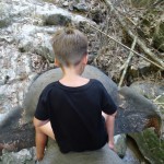 Die klassische Zirkusnummer<br />Affe auf Elefant