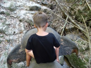 Die klassische Zirkusnummer Affe auf Elefant