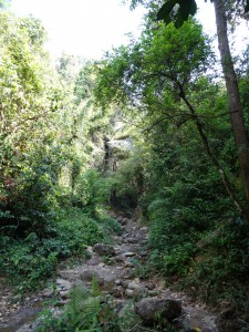 das steile steinige Flussbett