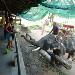Belohnung zum Abschluss